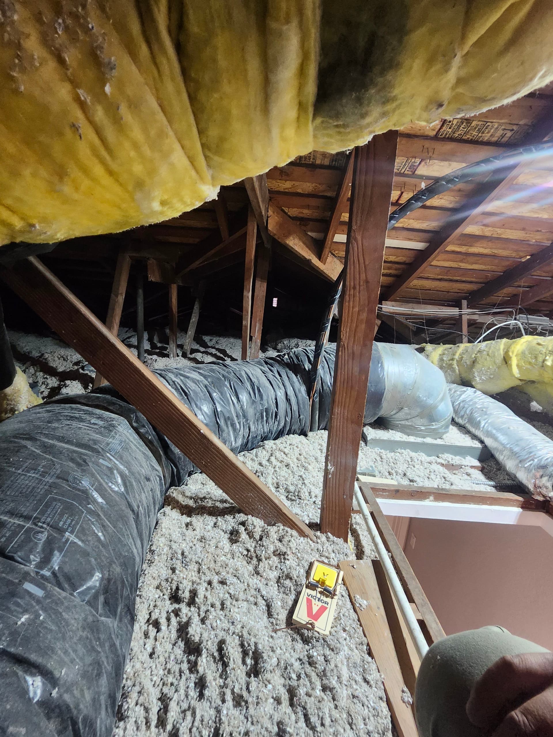 Gallery photos for 30-Year-Old AC System Replaced With AC Pro Z-Series Heat Pump: Image #3